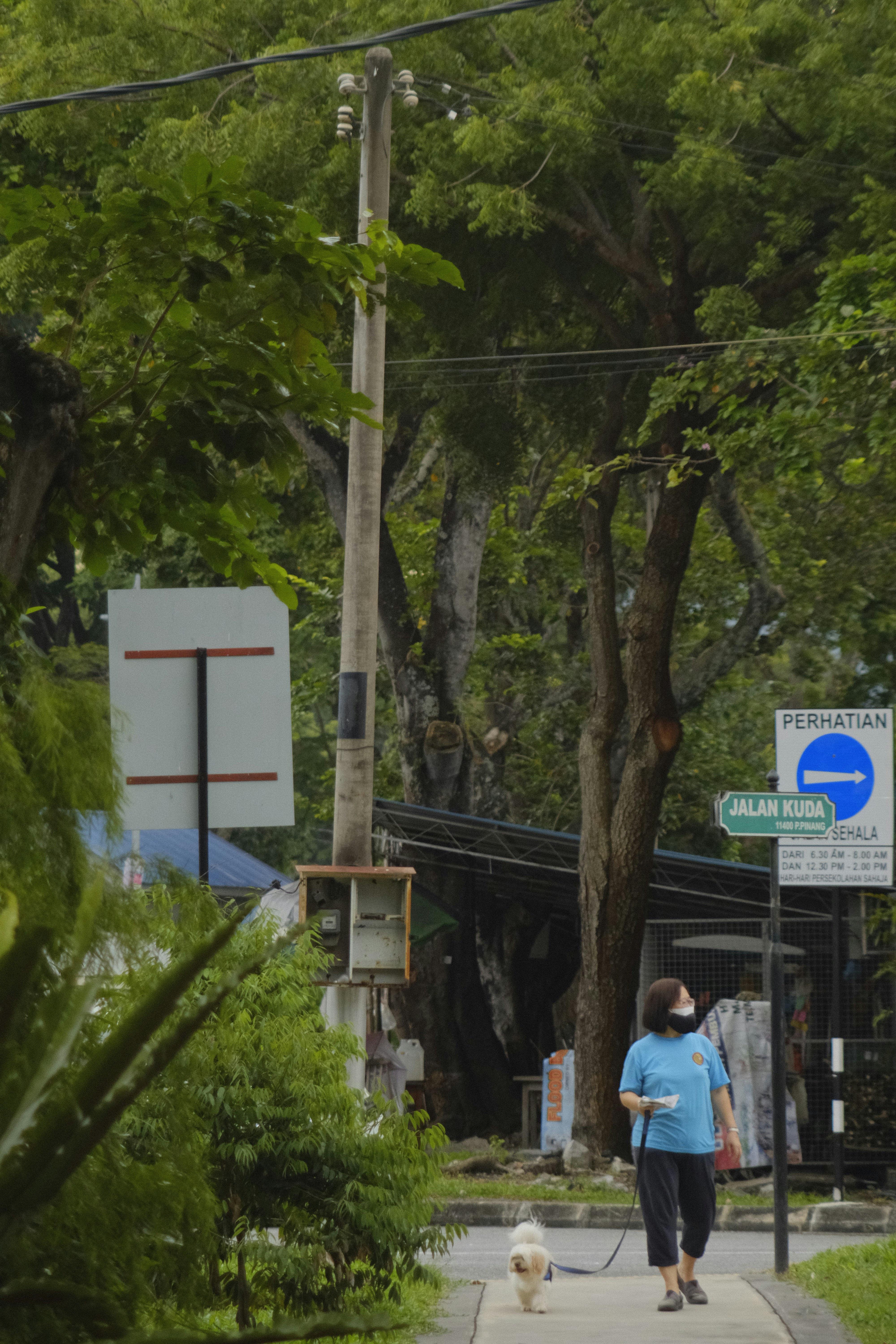 Photo by idaeasthesia