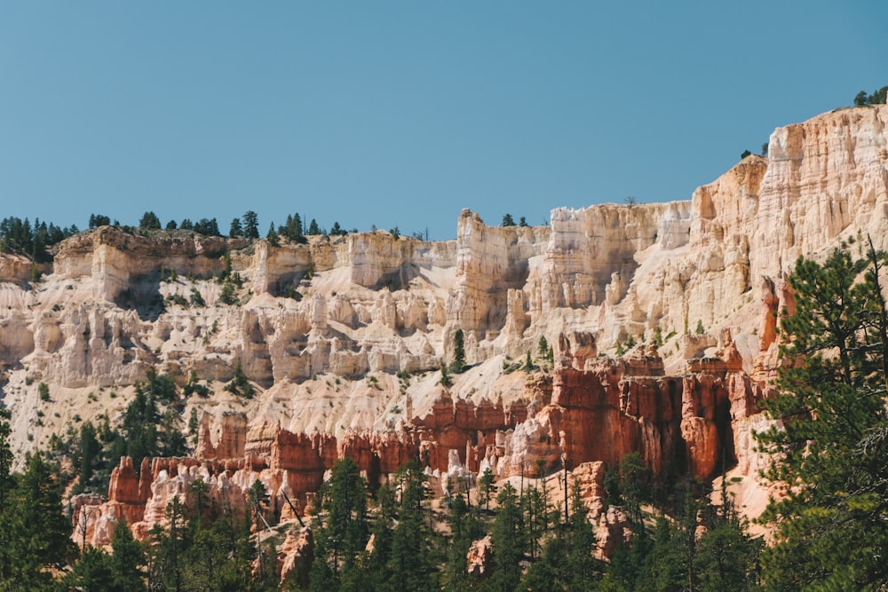 a view of a mountain with trees in the foreground