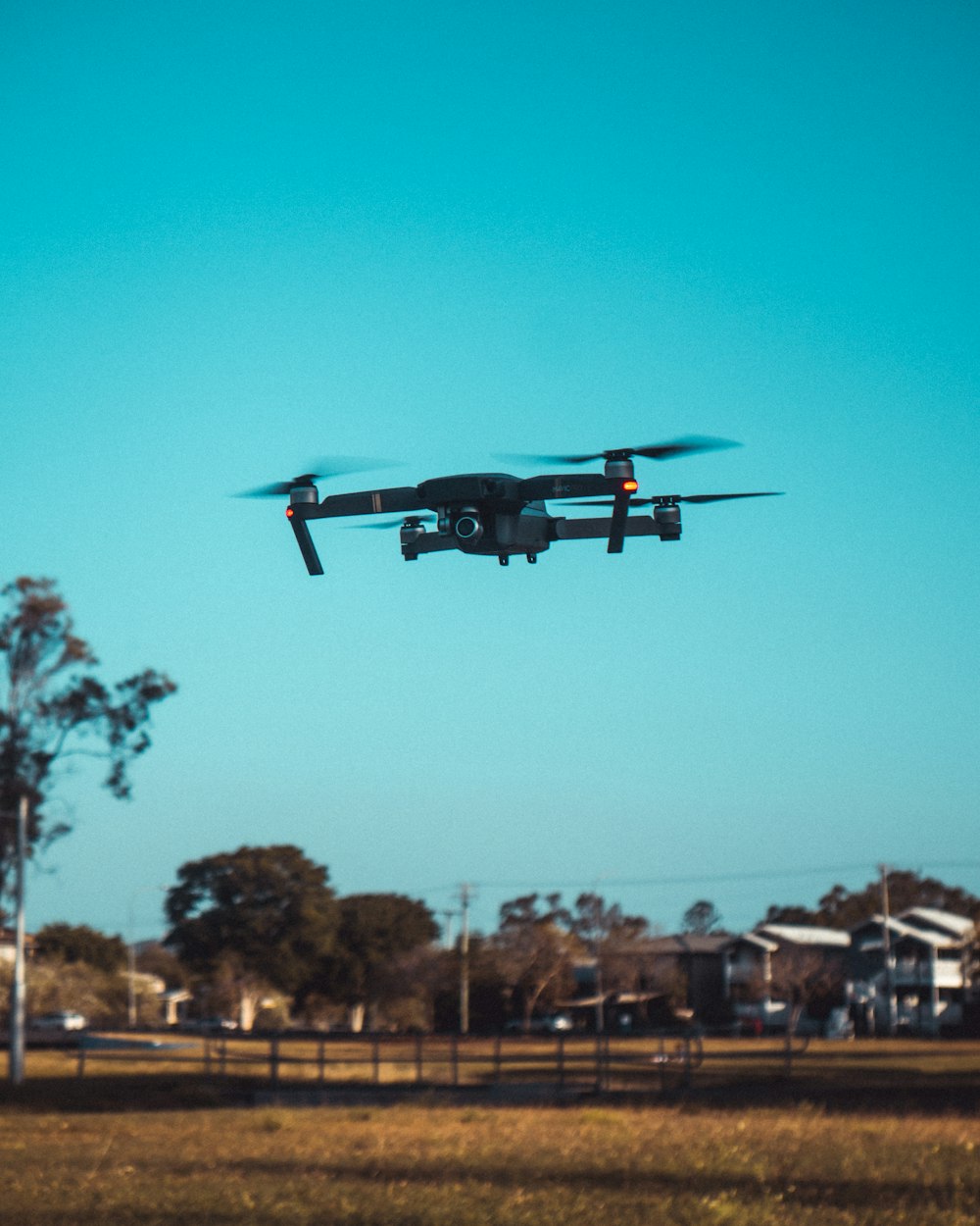 a large black flying over a lush green field