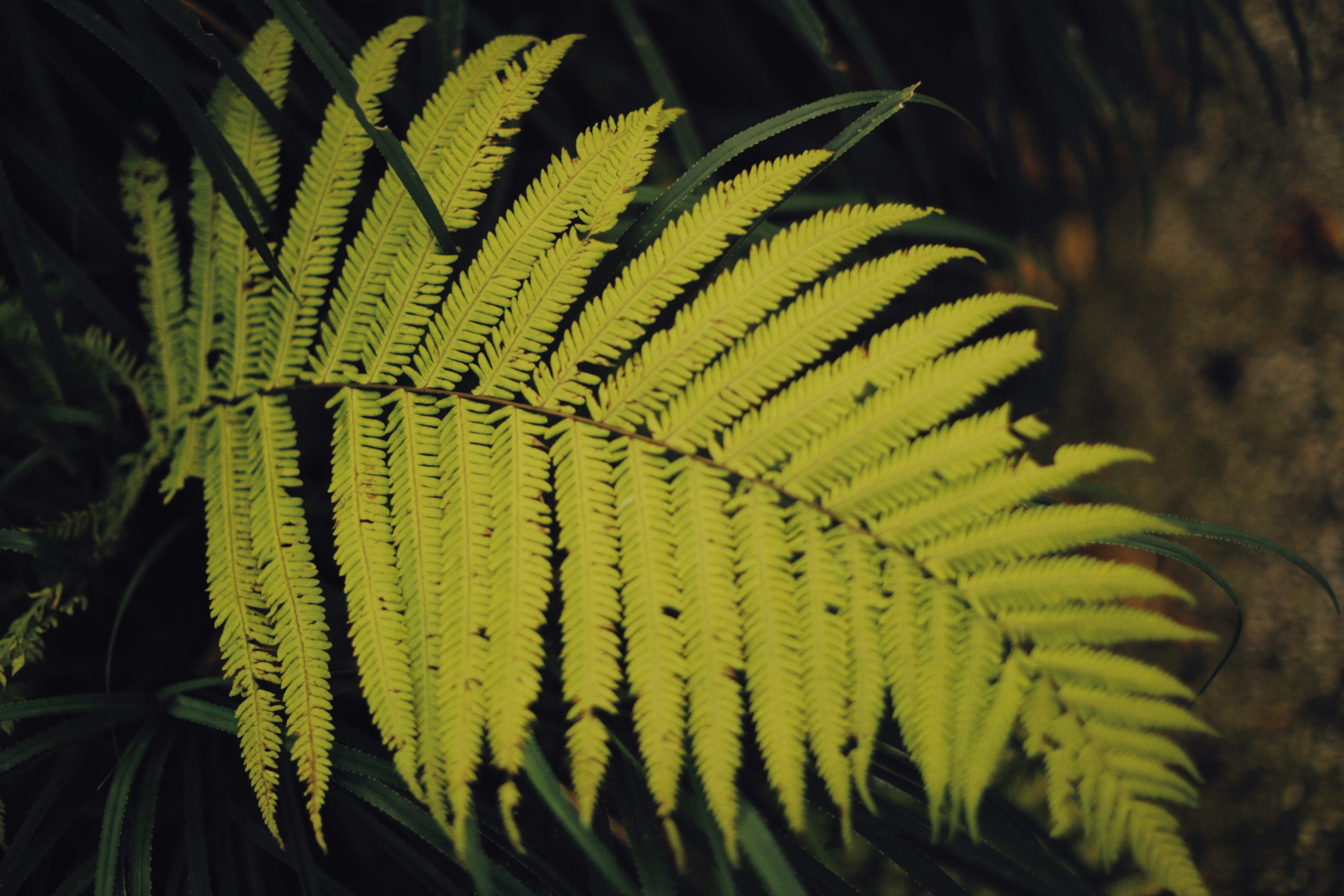 Photo by alexeydemidov