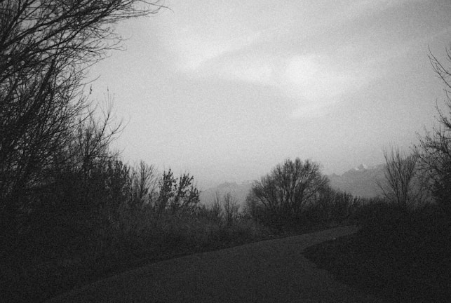 A black and white photograph captures a serene landscape with leafless trees silhouetted against a cloudy sky. A winding path leads into the distance, flanked by dense foliage. The mountains are faintly visible in the background, adding to the rugged, natural feel.