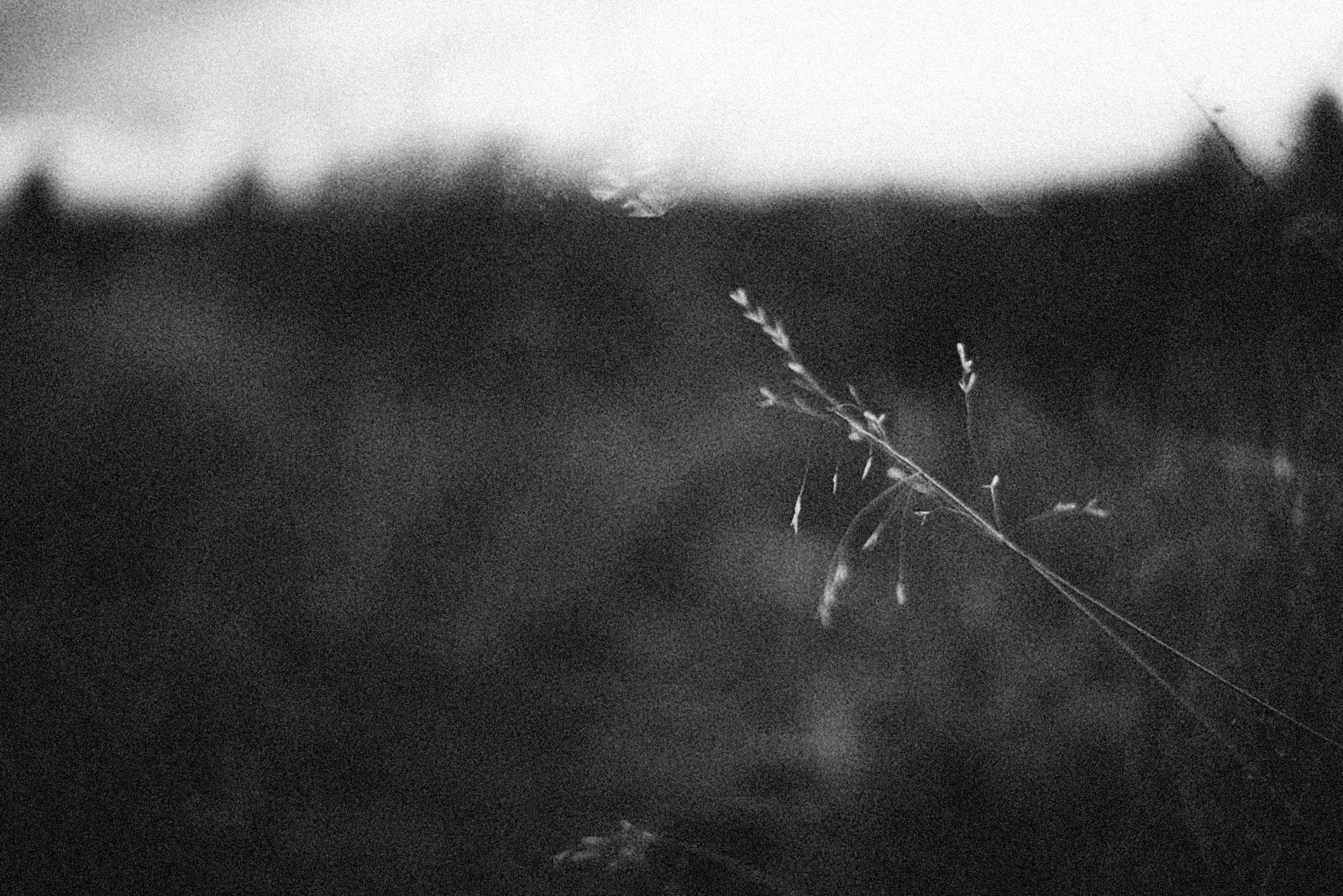 Photo by alexeydemidov