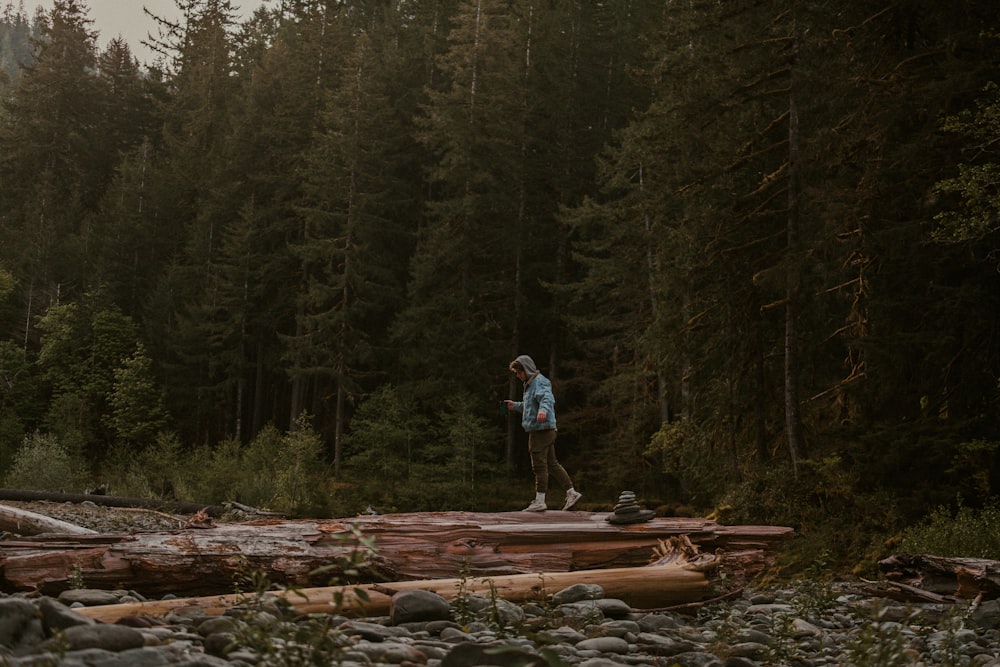 a person standing on a log in a forest