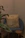 A cozy living room corner featuring a plush tufted accent chair with a soft velvet pillow.