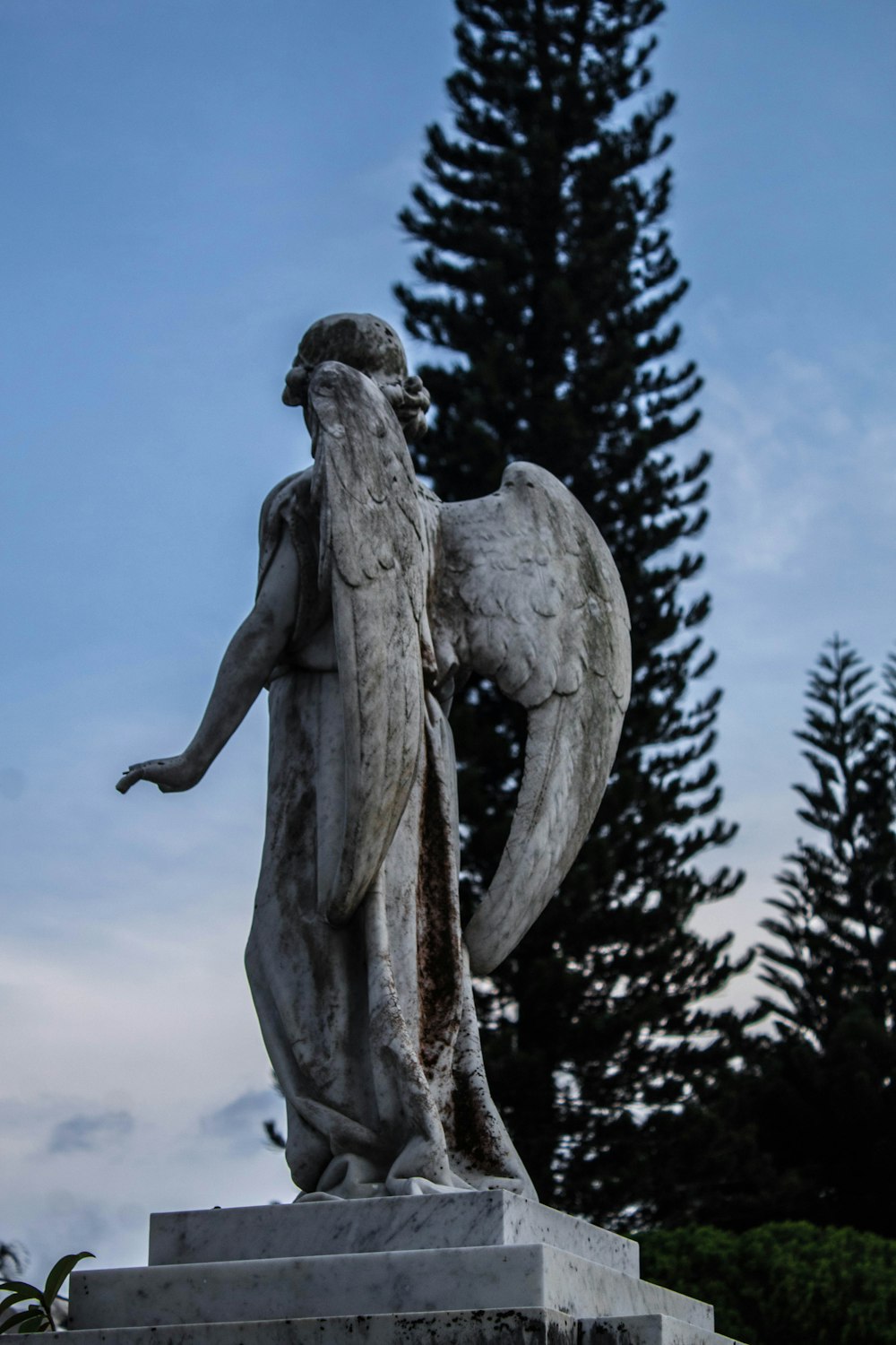 a statue of an angel with a tree in the background