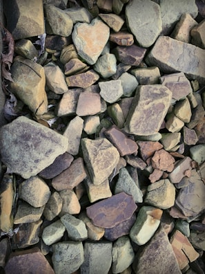 A collection of variously sized and shaped stones with muted earth tones, ranging from greenish browns to darker browns and grays. A heart-shaped stone stands out among the other rocks, adding a point of interest.