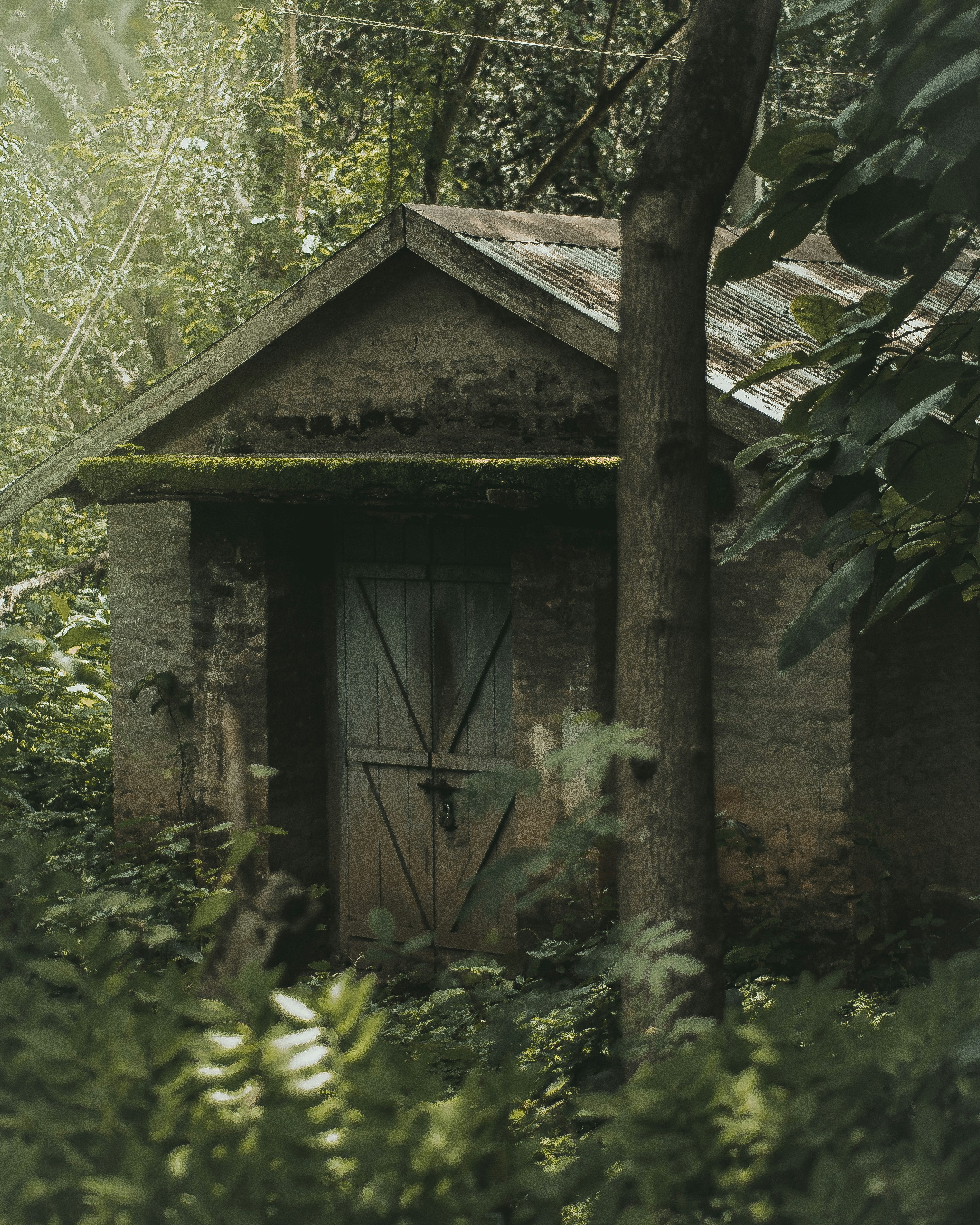 Photo by pratham_kumar