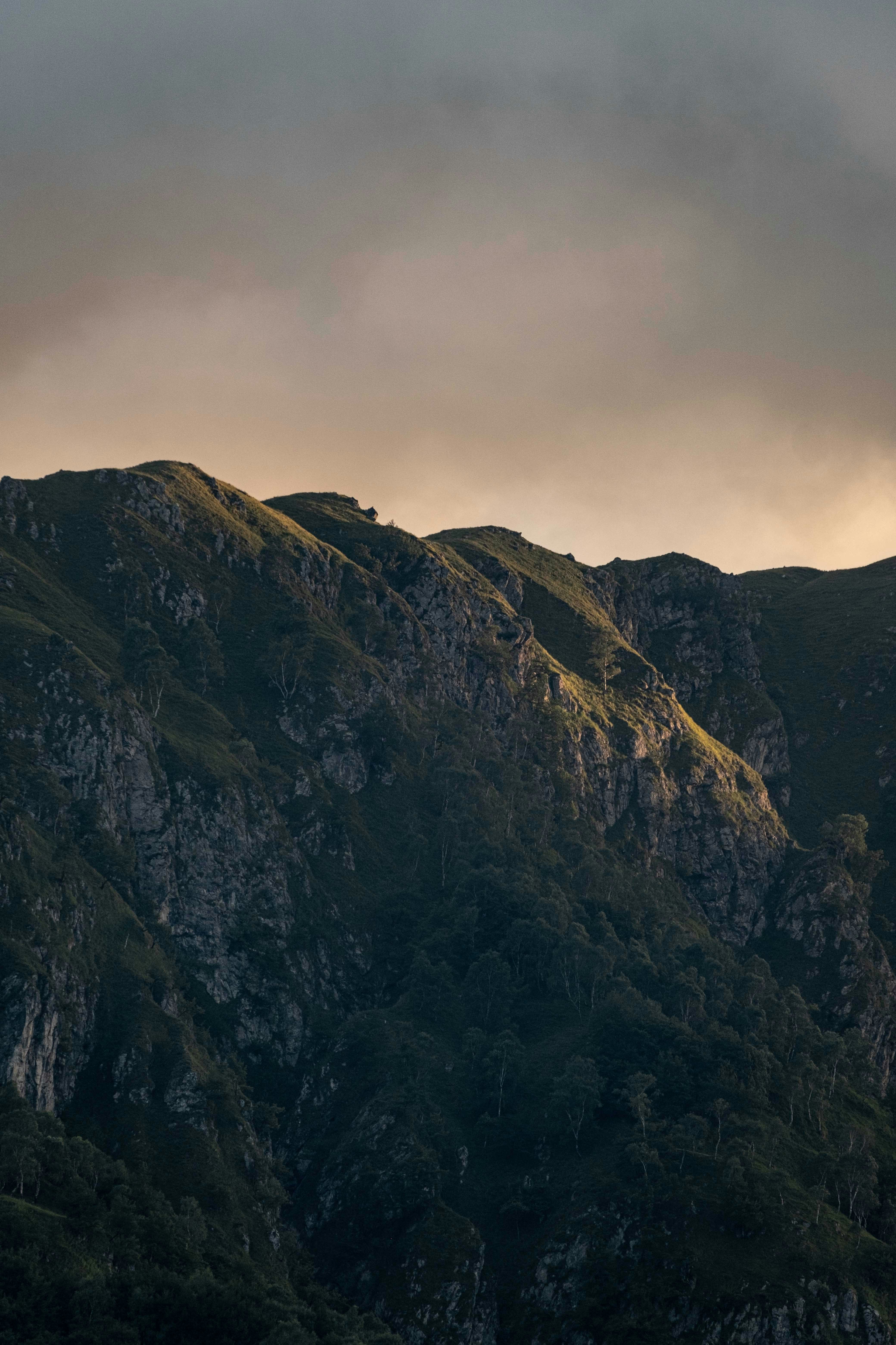 Photo by francesco_ungaro