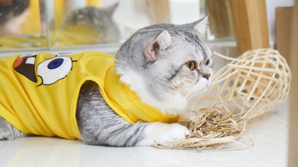 a cat wearing a yellow shirt laying on the floor