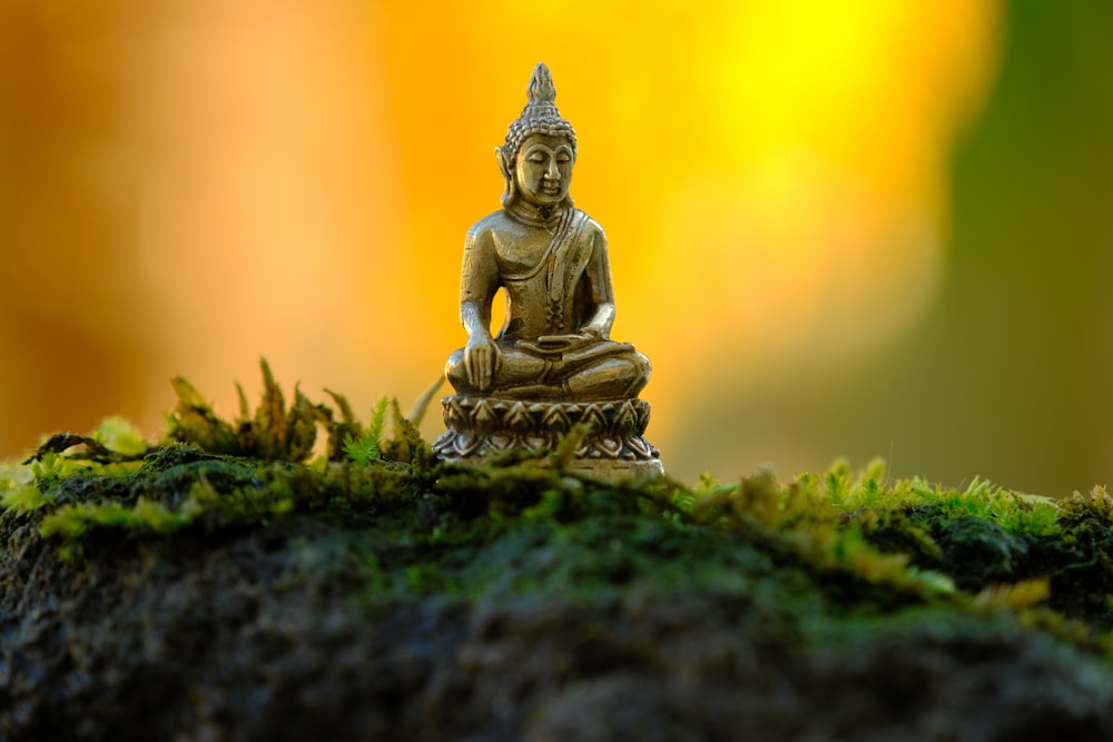 a small buddha statue sitting on top of a moss covered rock