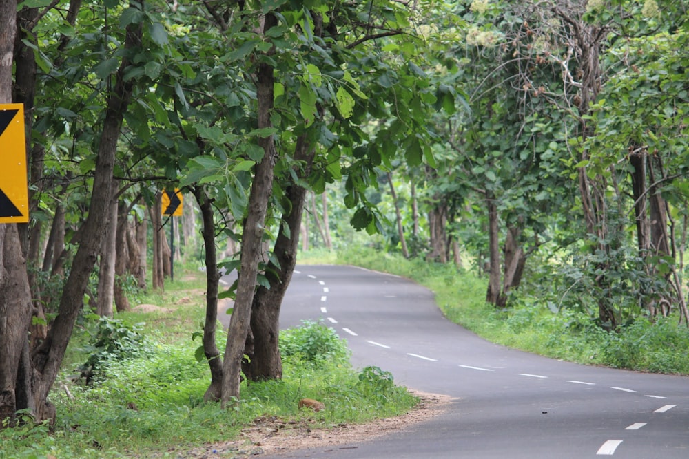 a road with a yellow sign on the side of it