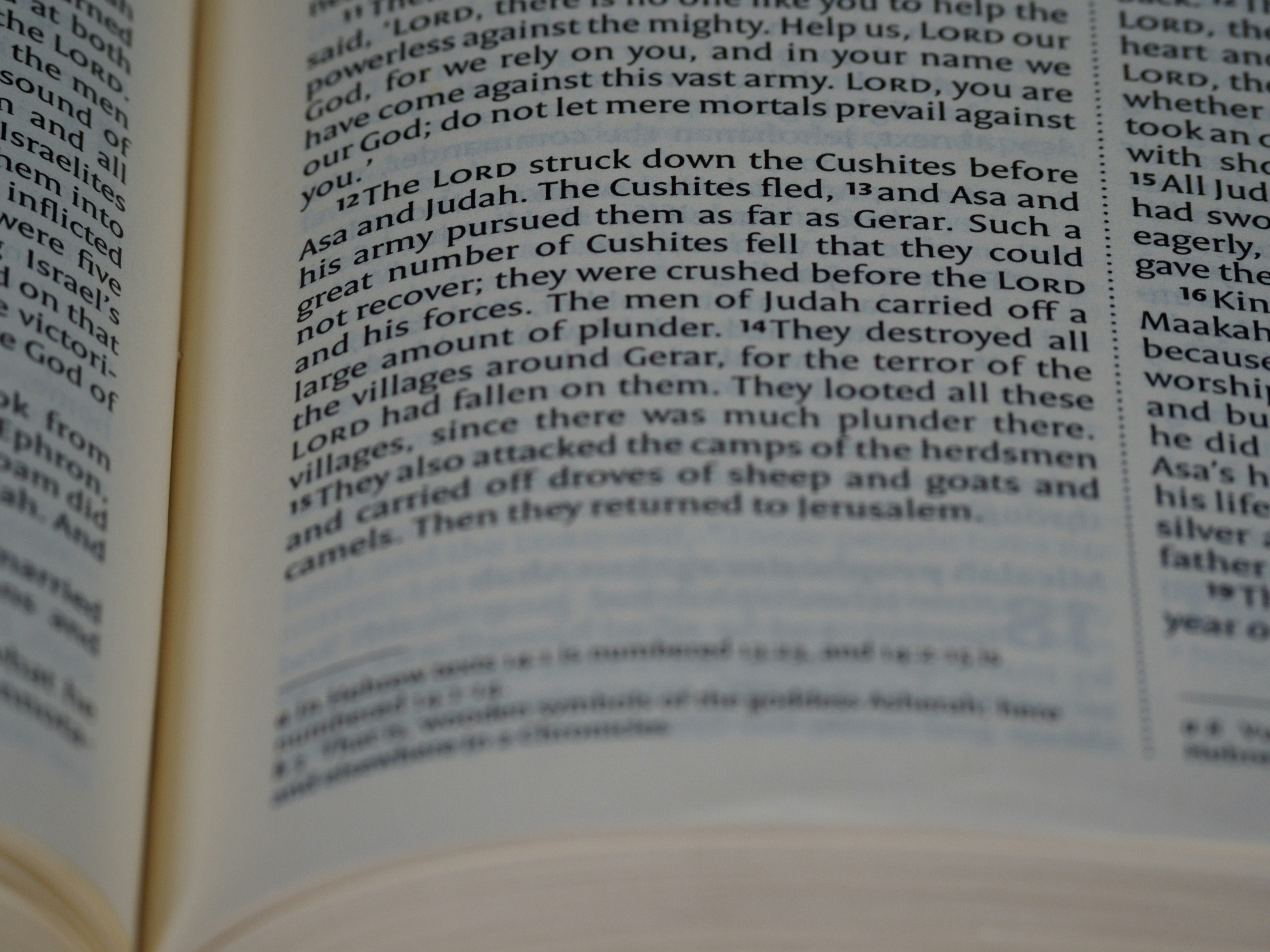 complex, annotated text passage - lsat reading comprehension tutor