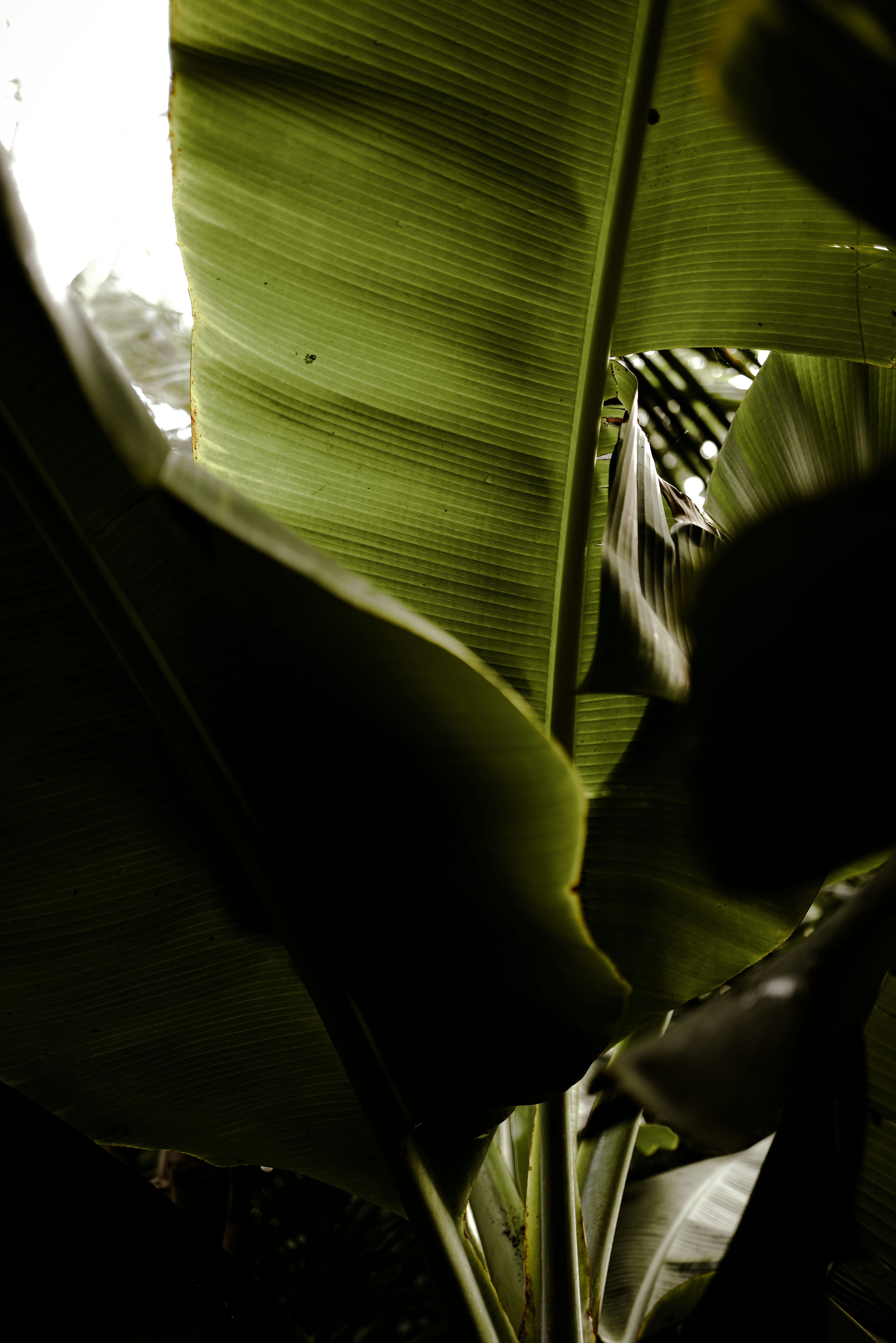 Photo by visuallert