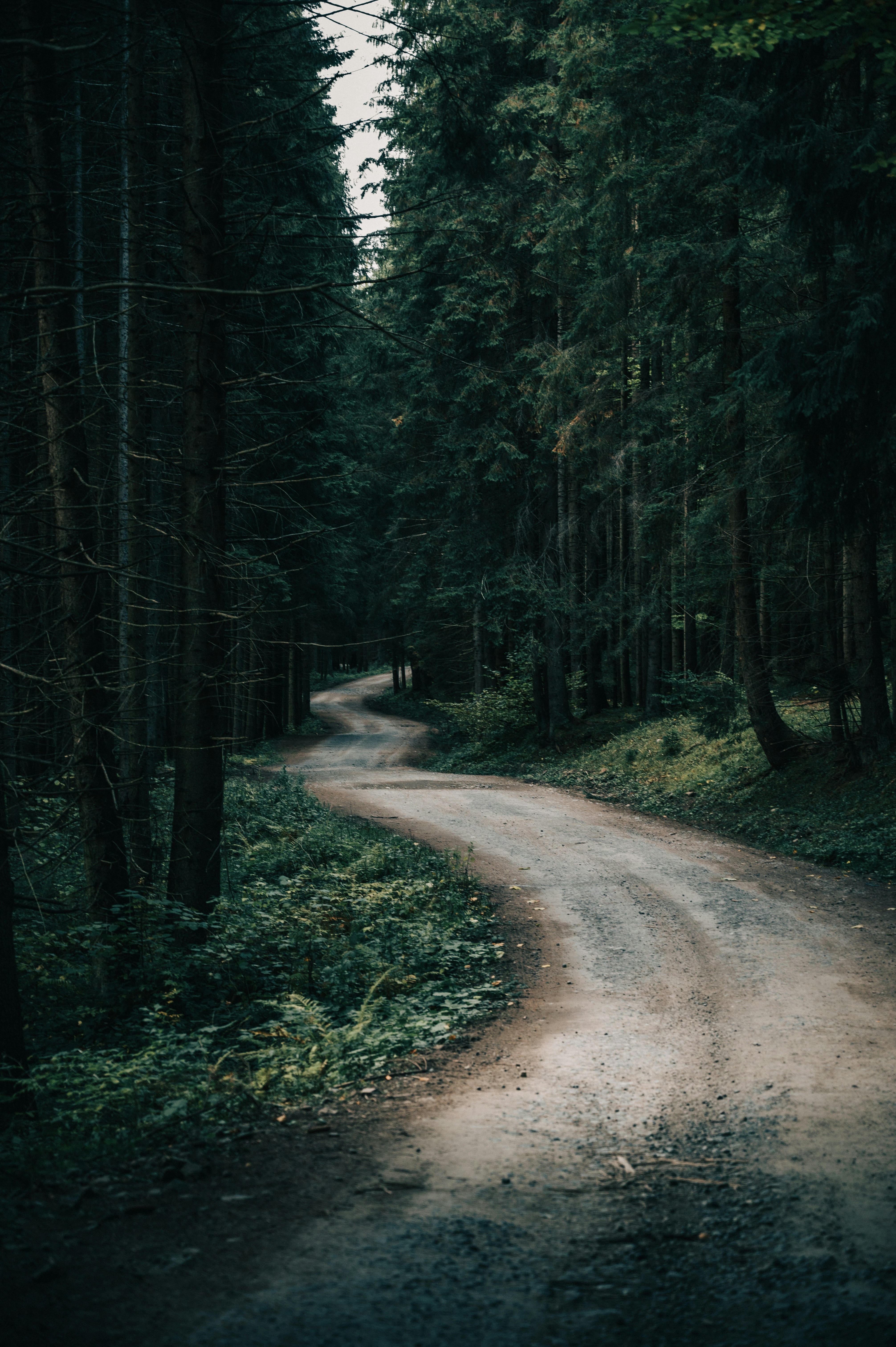 Photo by tamas_tuzeskatai