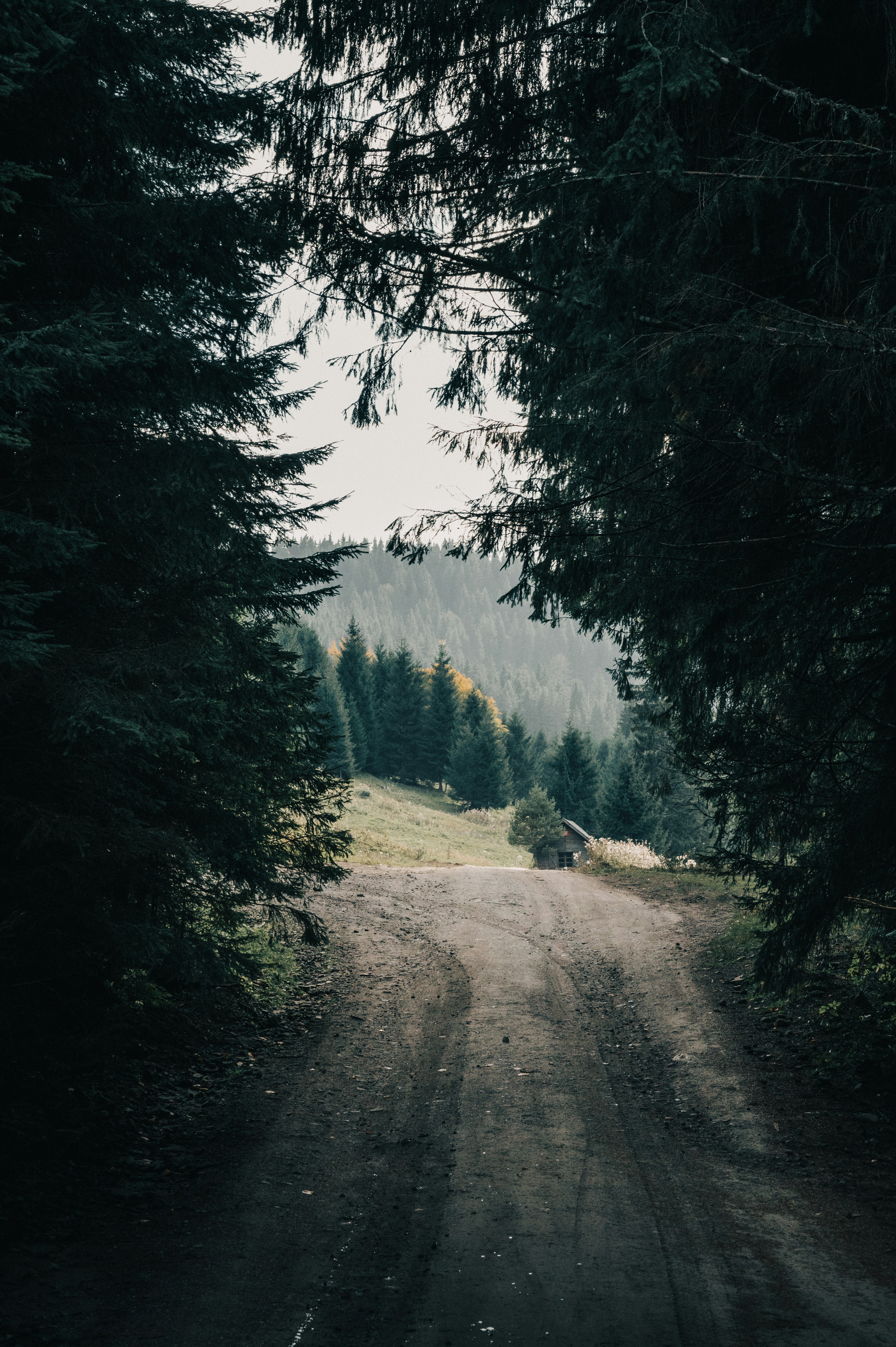 Photo by tamas_tuzeskatai