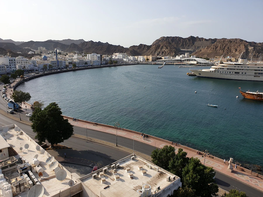 سوق الماشية يوم الجمعة