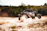 A vibrant shot capturing a Baja race vehicle kicking up dust against a rugged desert backdrop.