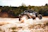 A vibrant shot capturing a Baja race vehicle kicking up dust against a rugged desert backdrop.