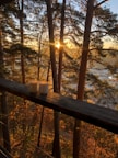 Couple enjoying morning coffee on the cabin’s porch overlooking a peaceful forest.