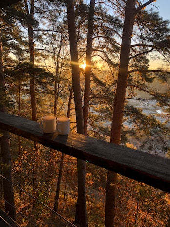 A couple enjoying a morning coffee on the cabin's porch overlooking the quiet forest.