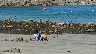 A group of diverse coastal engineers collaborating on a shoreline restoration project near the ocean.