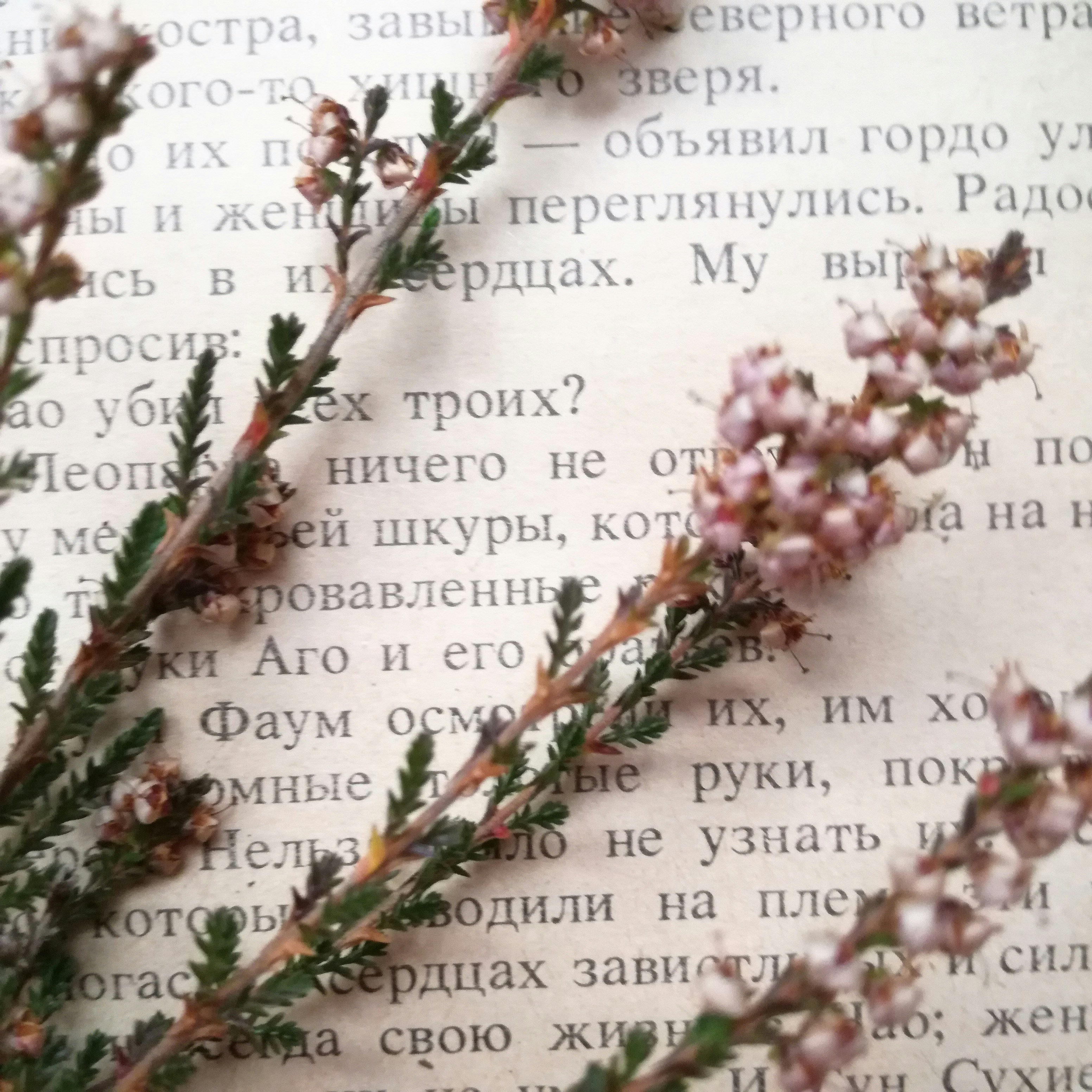 Tout savoir sur bonheur