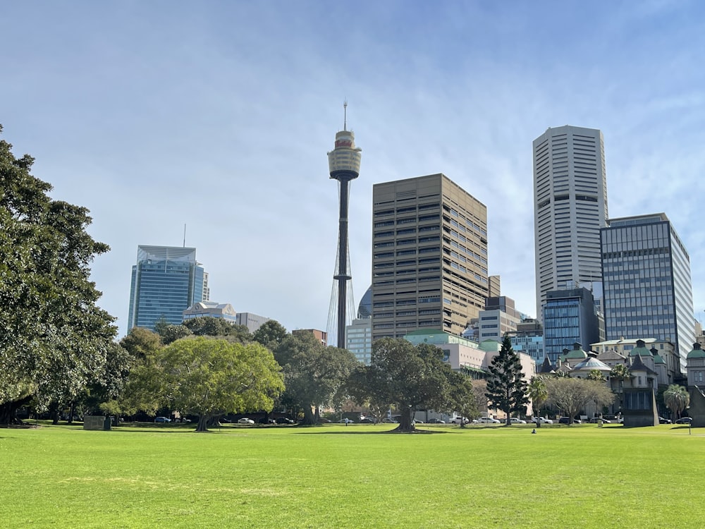 a grassy field in a city park with tall buildings in the background