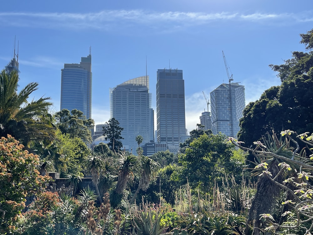 uma vista de uma cidade com edifícios altos no fundo