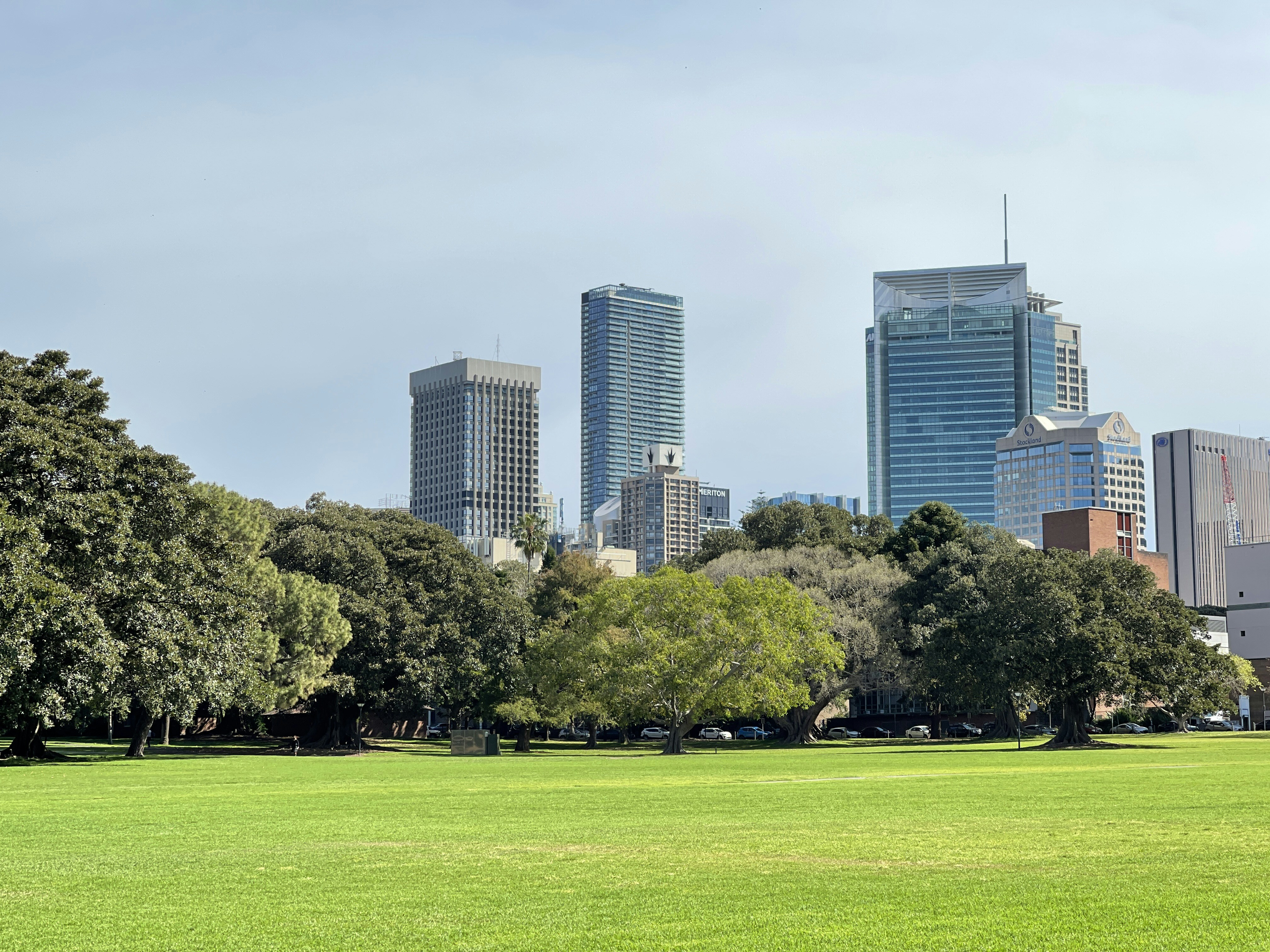 a grassy field with trees and buildings in the background