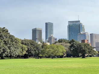 City skyline viewed from a green park during daylight.