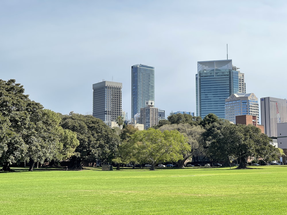 a grassy field with trees and buildings in the background