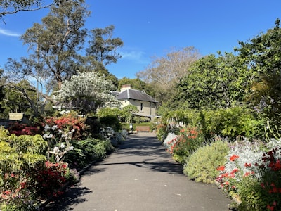 A welcoming home with a well-maintained garden and a clear blue sky.