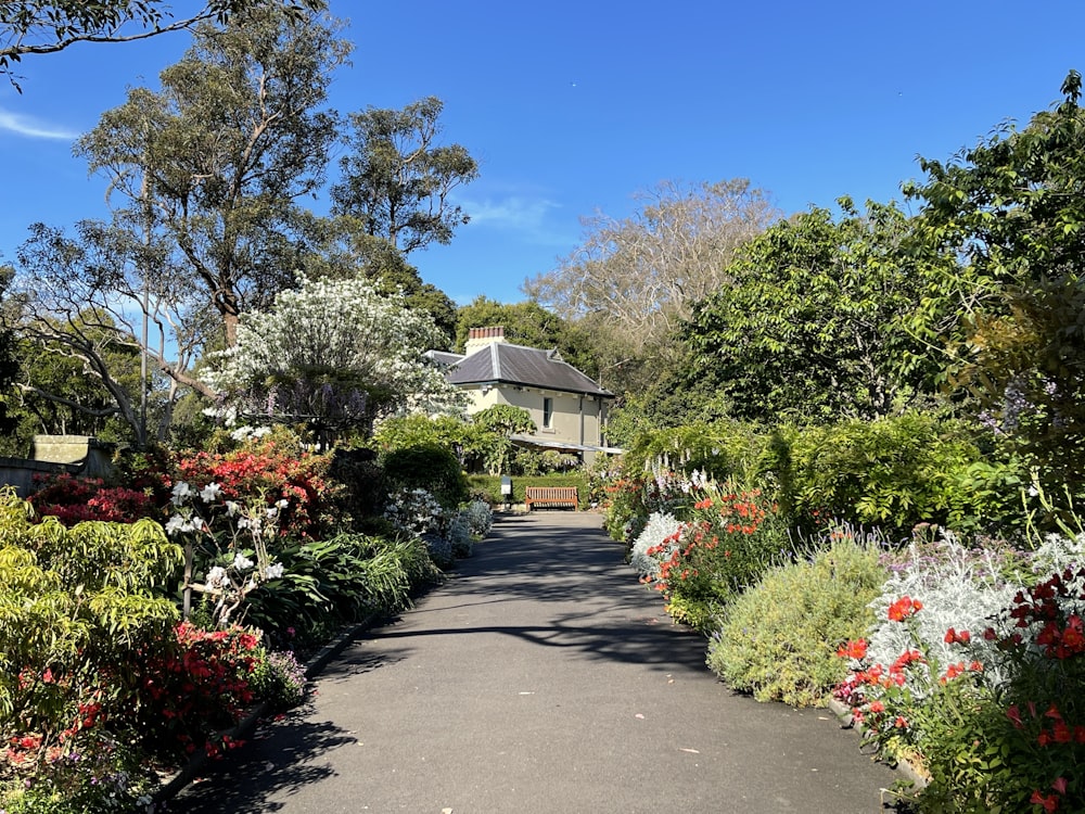 a garden path with a house in the background