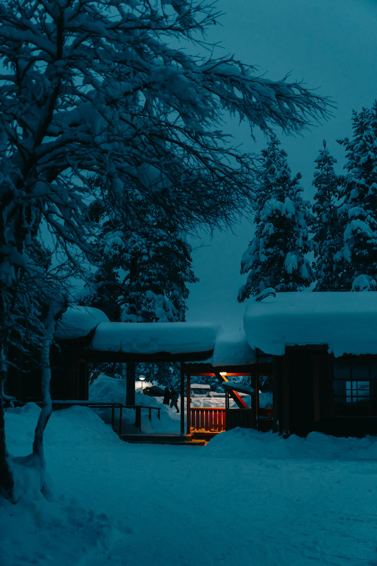 Lit cabin set among deep snow and heavily laden trees at night