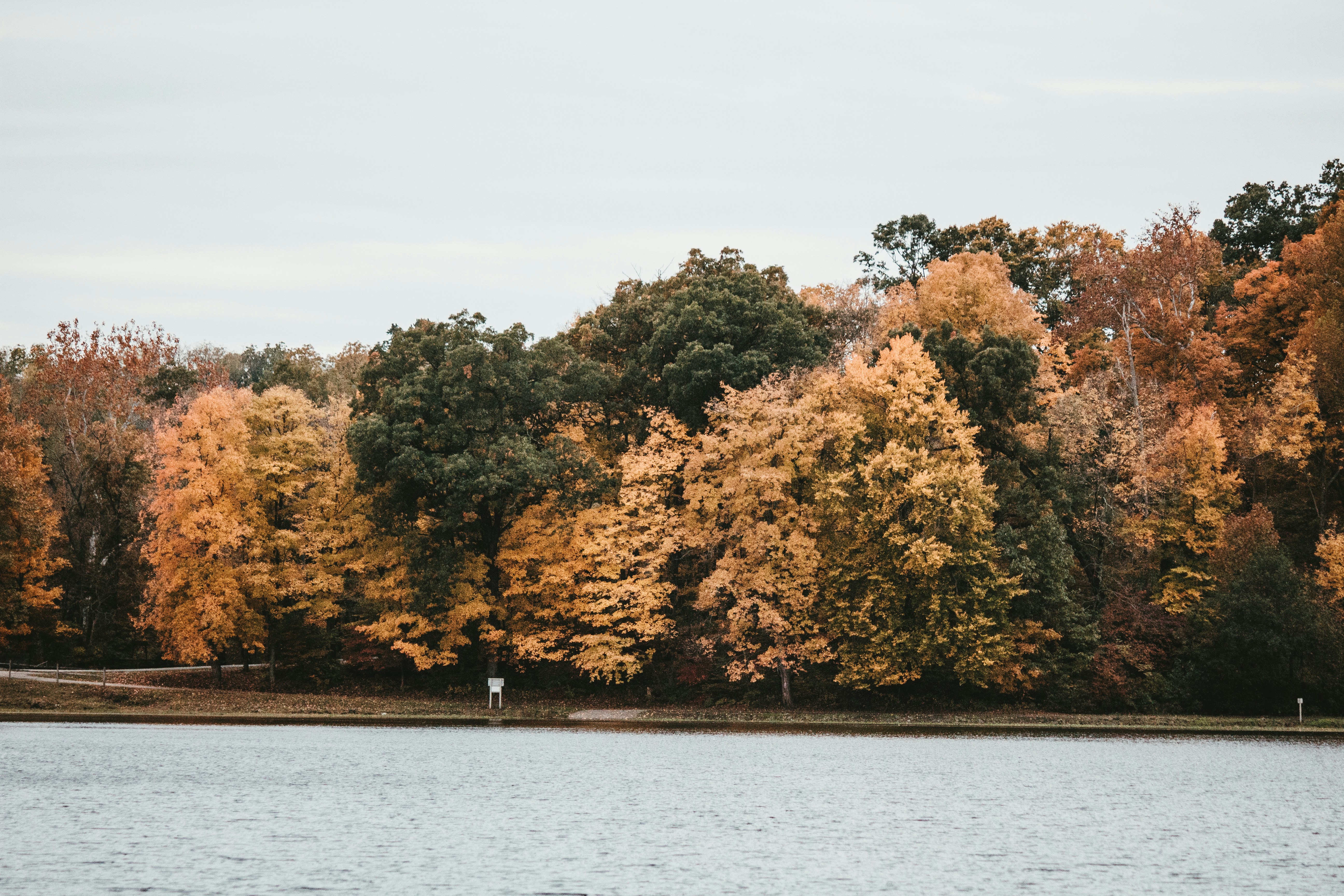 Senior couple in an Ohio park discussing their legacy and peace of mind - life insurance brokerage services