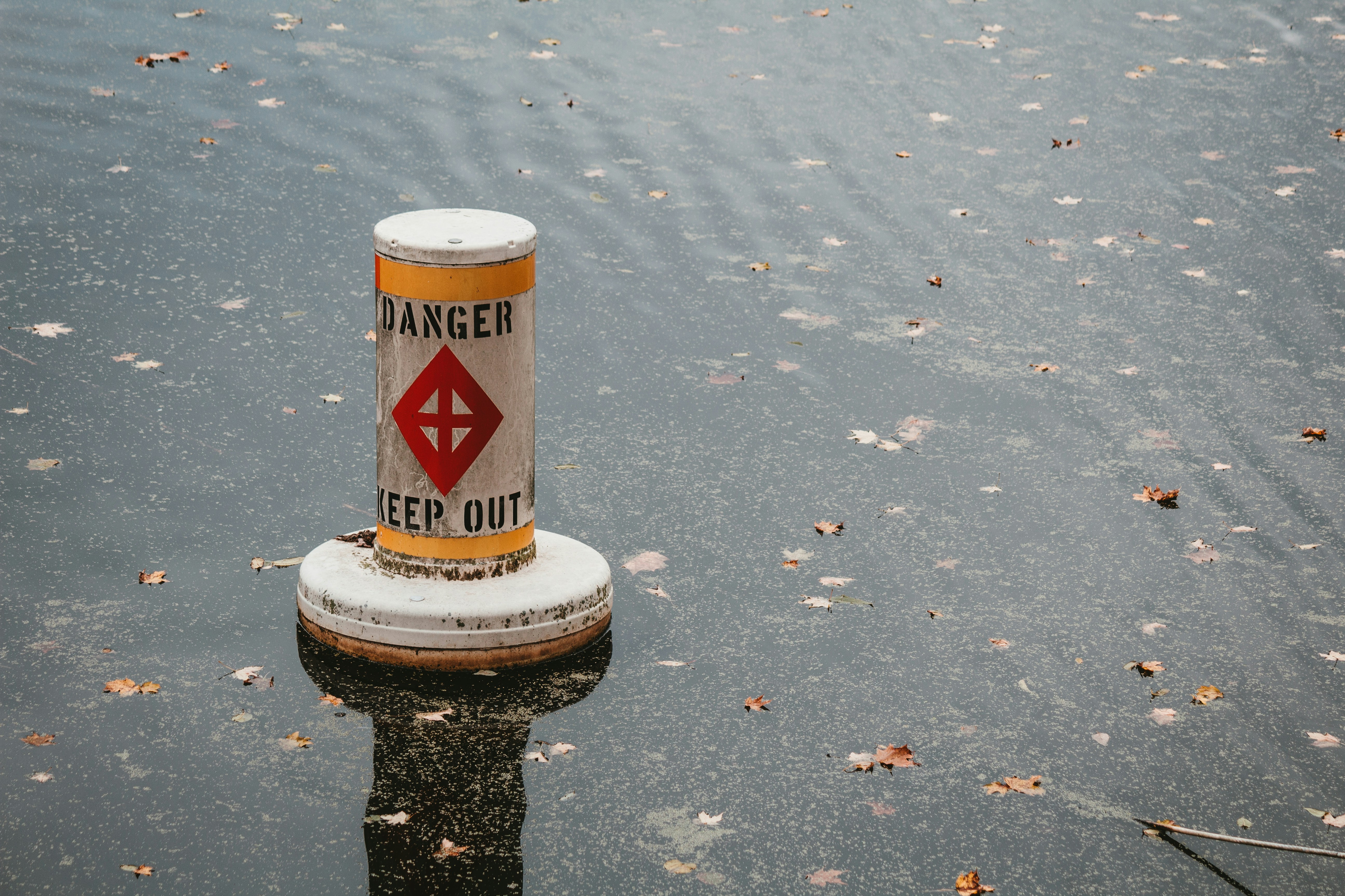 photo-1634205626518-c01ce07dd5ec?ixid=M3wxMjA3fDB8MXxzZWFyY2h8M3x8YWxsJTIwcHJvJTIwd2F0ZXIlMjBkYW1hZ2V8ZW58MHx8fHwxNzY3Njk3MTQwfDA\u0026ixlib=rb-4.1.0