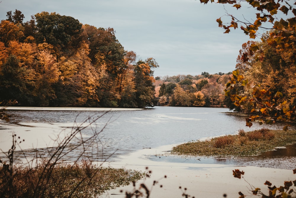 a body of water surrounded by trees in the fall