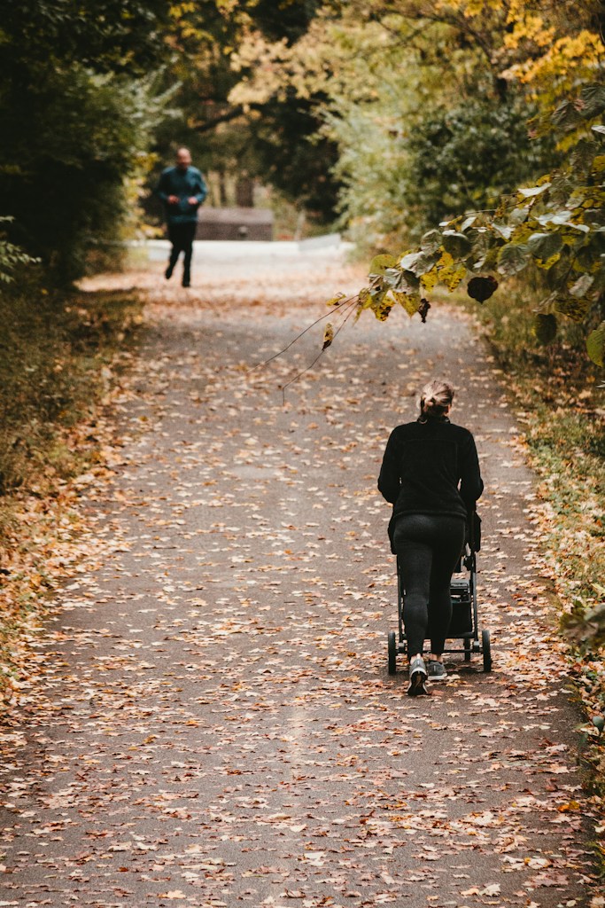 Trailblazer Stroller