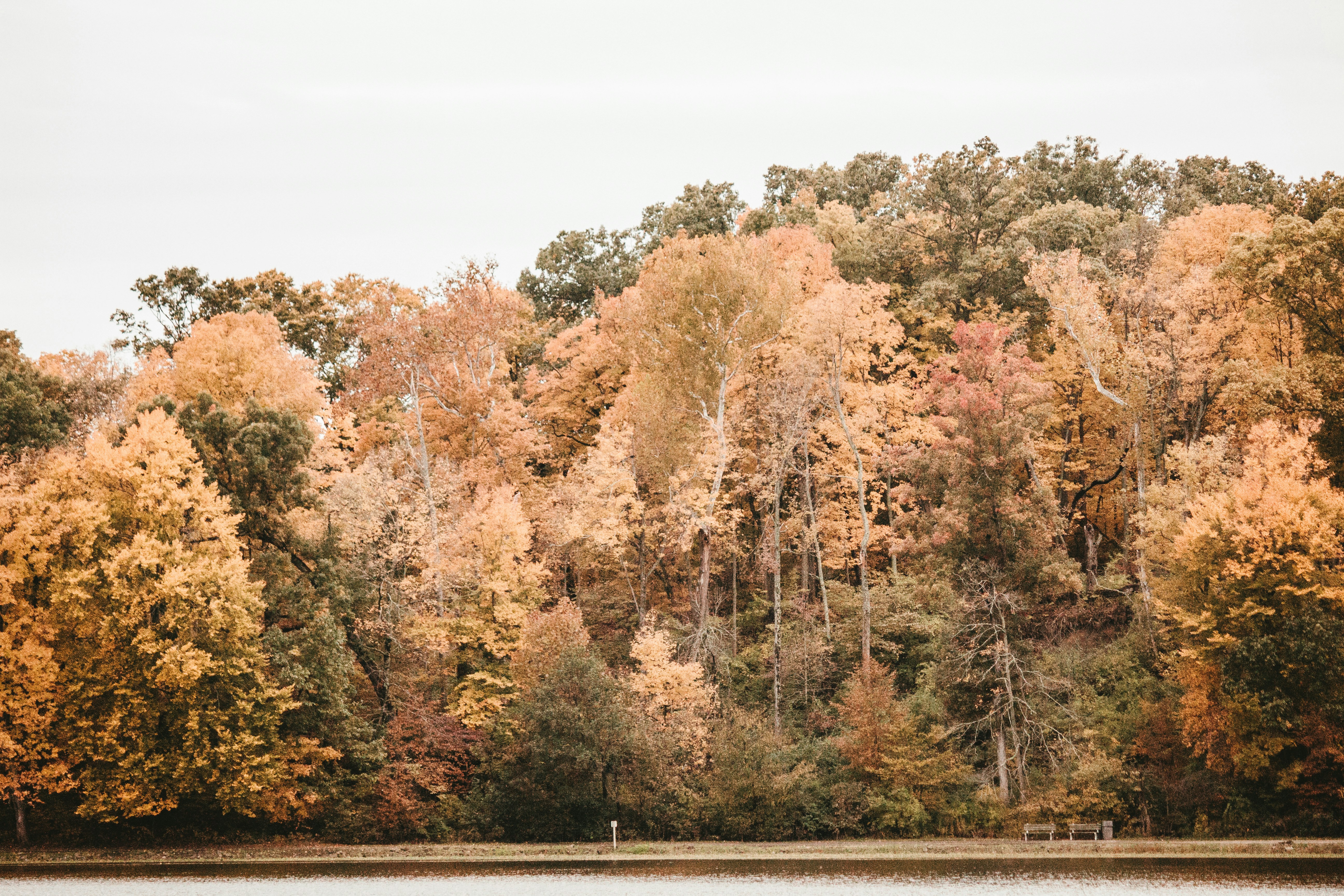 Photo by fosterious