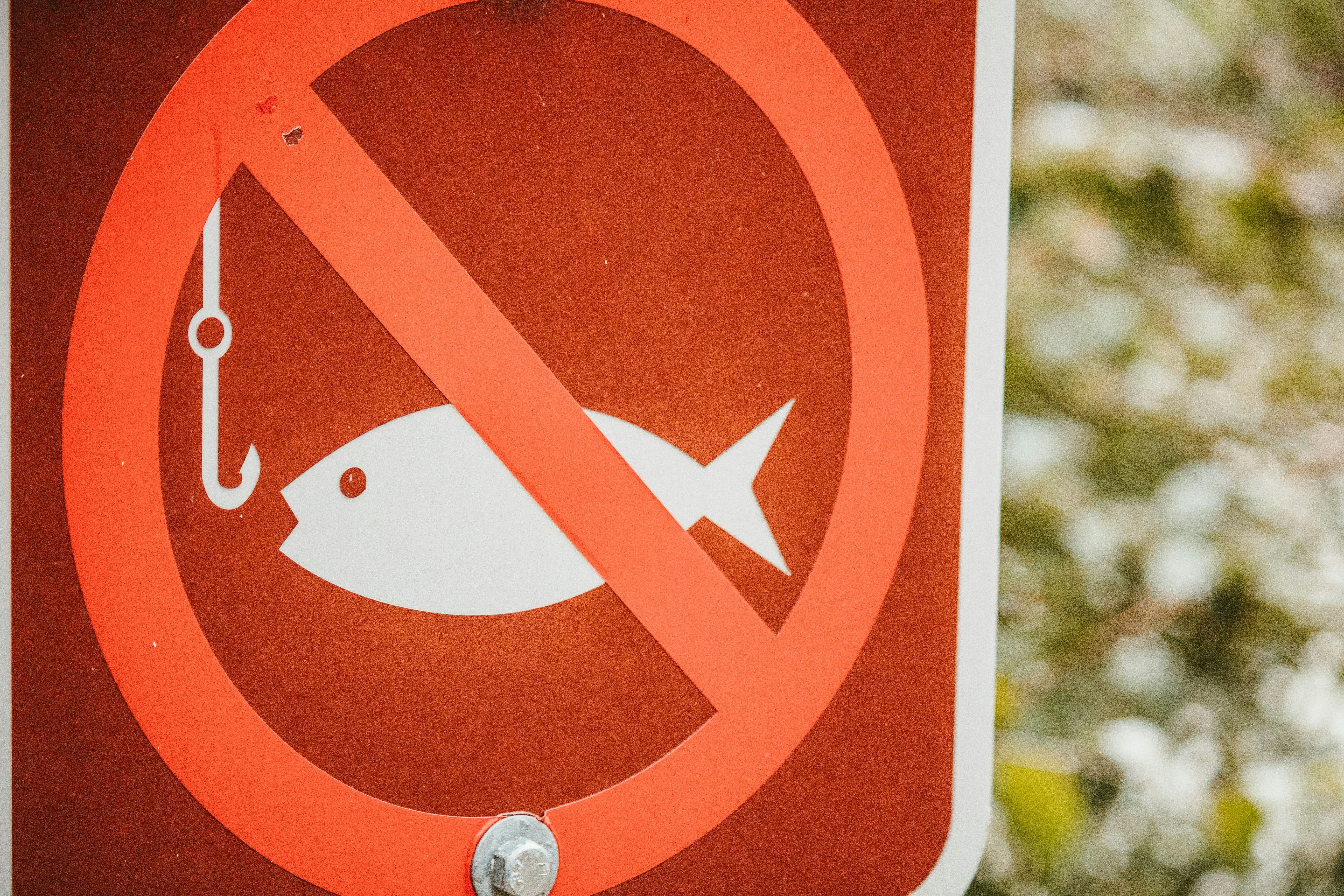 a no fishing sign