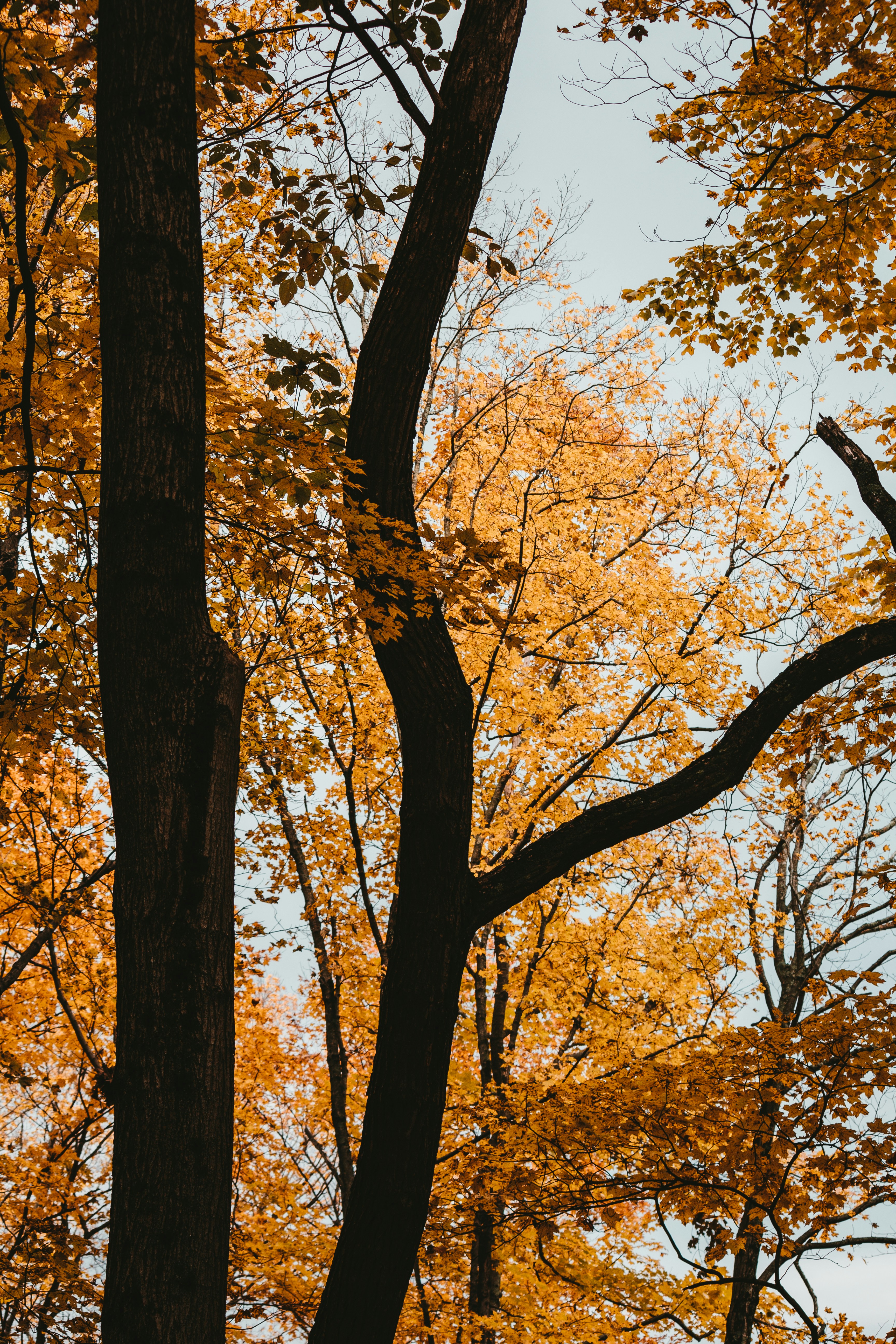 💥 🧪 앗! 실험 전에 꼭 확인해야 할 화학 반응 안전 꿀팁 대방출! 💥
