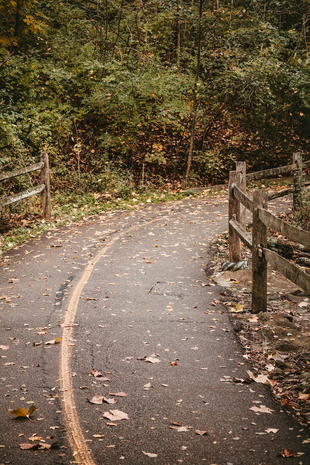 a winding road with a wooden fence and trees in the background