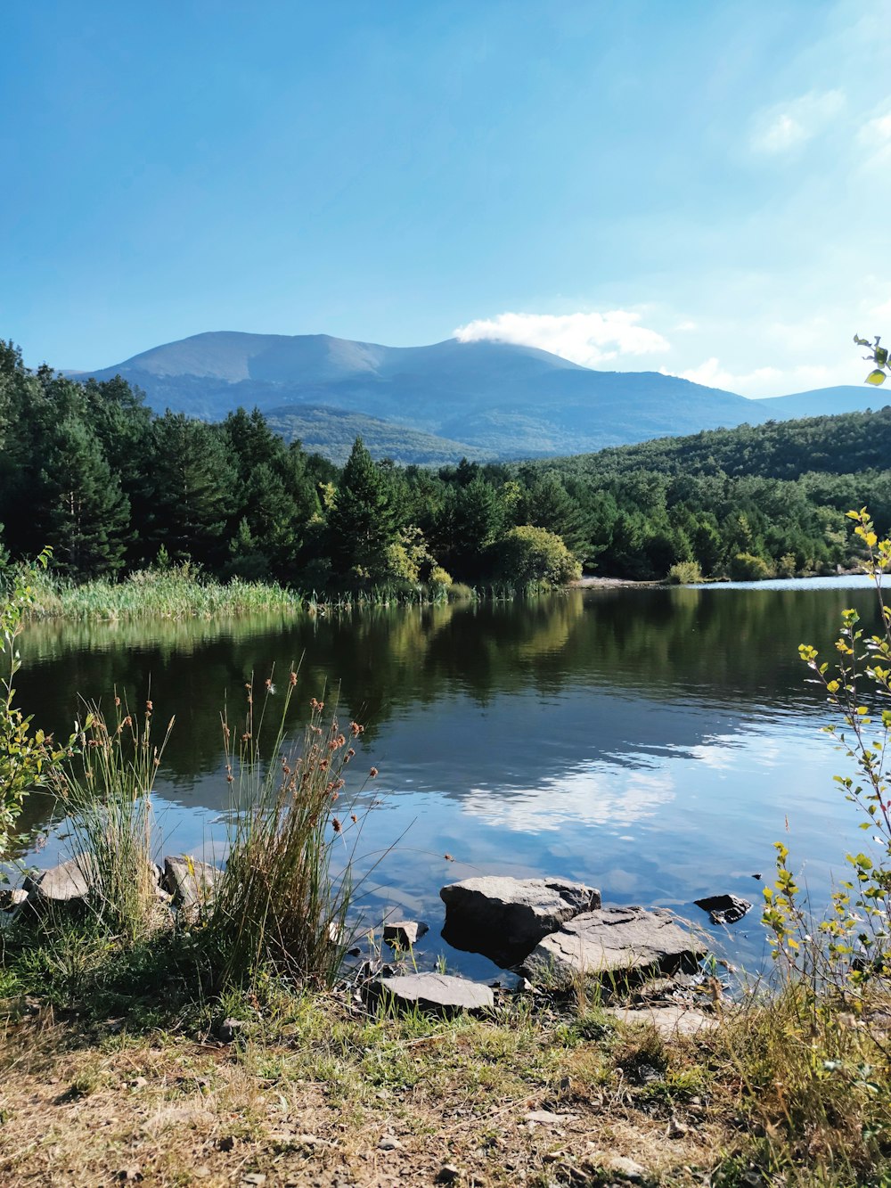 a body of water surrounded by trees and mountains