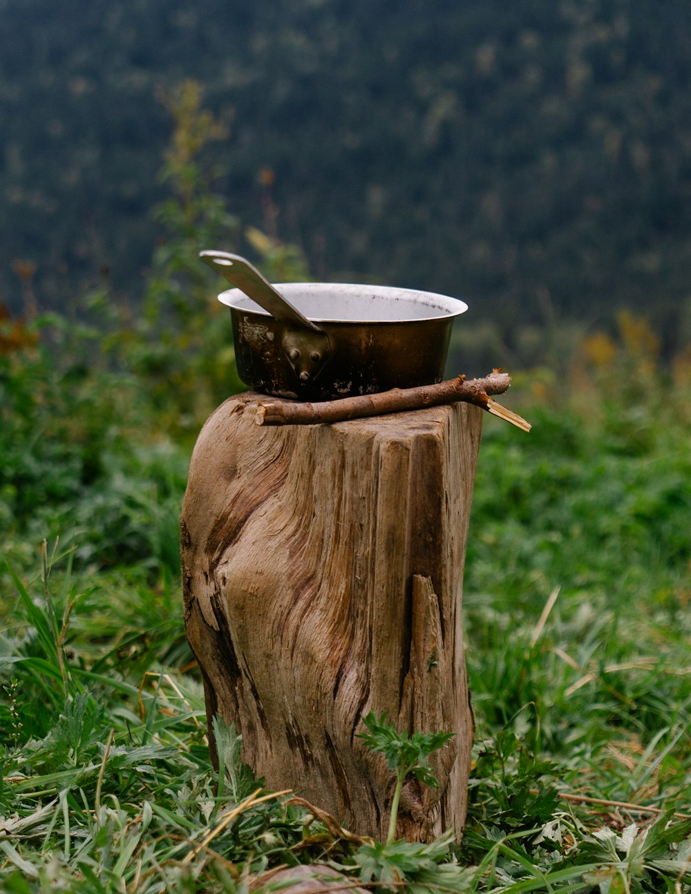 a wooden stump with a bowl on top of it