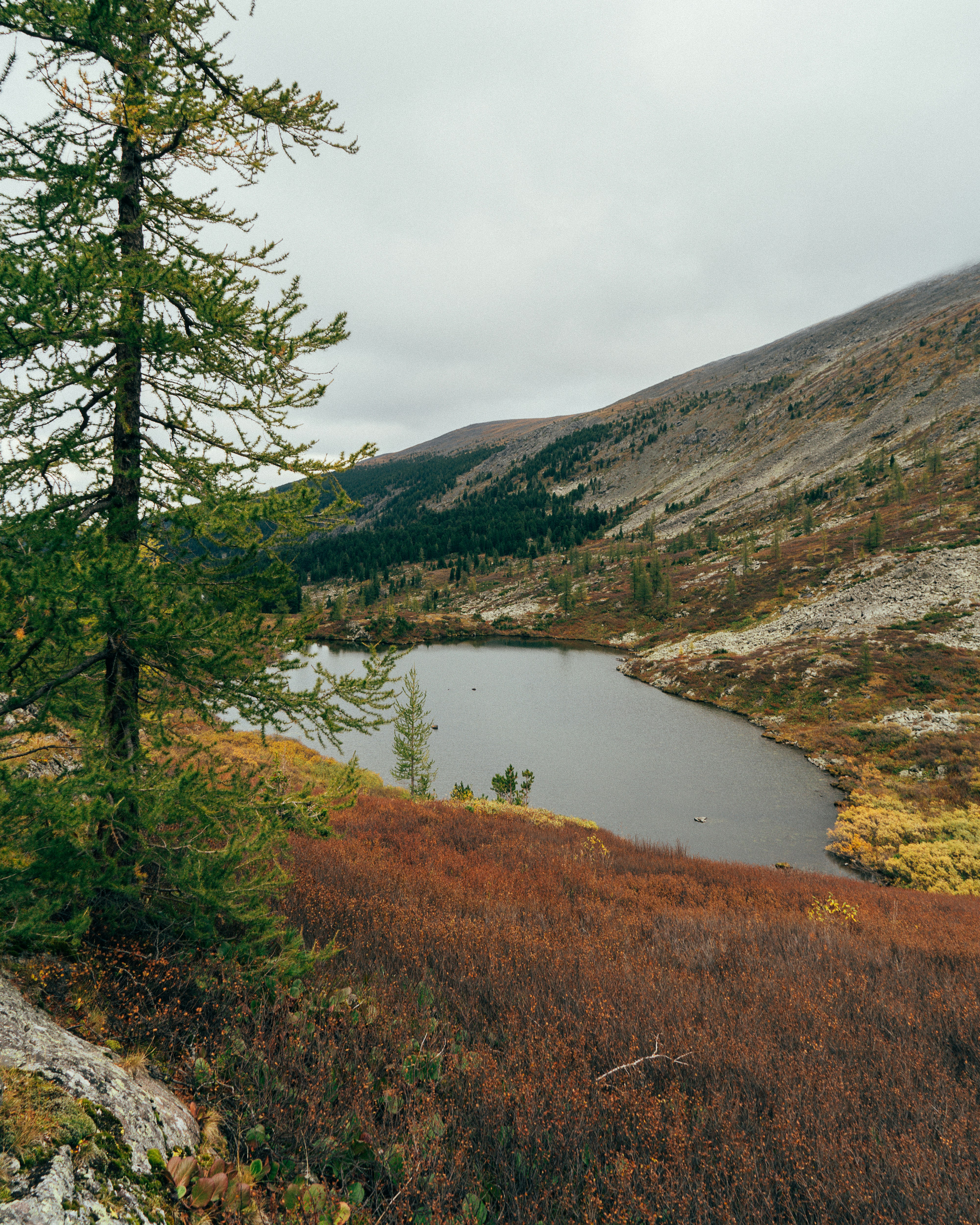 Photo by alexanderklimm