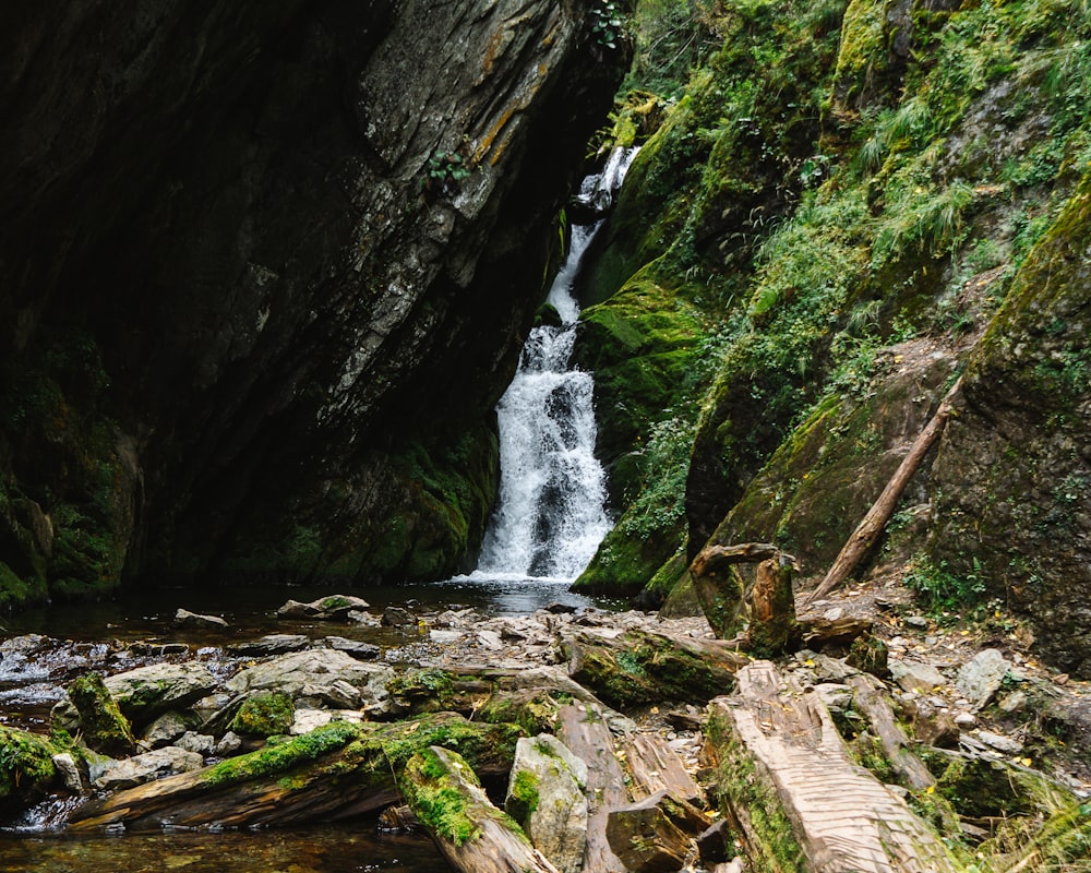 a small waterfall in the middle of a forest