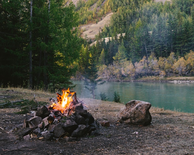 a campfire in the middle of a forest next to a lake