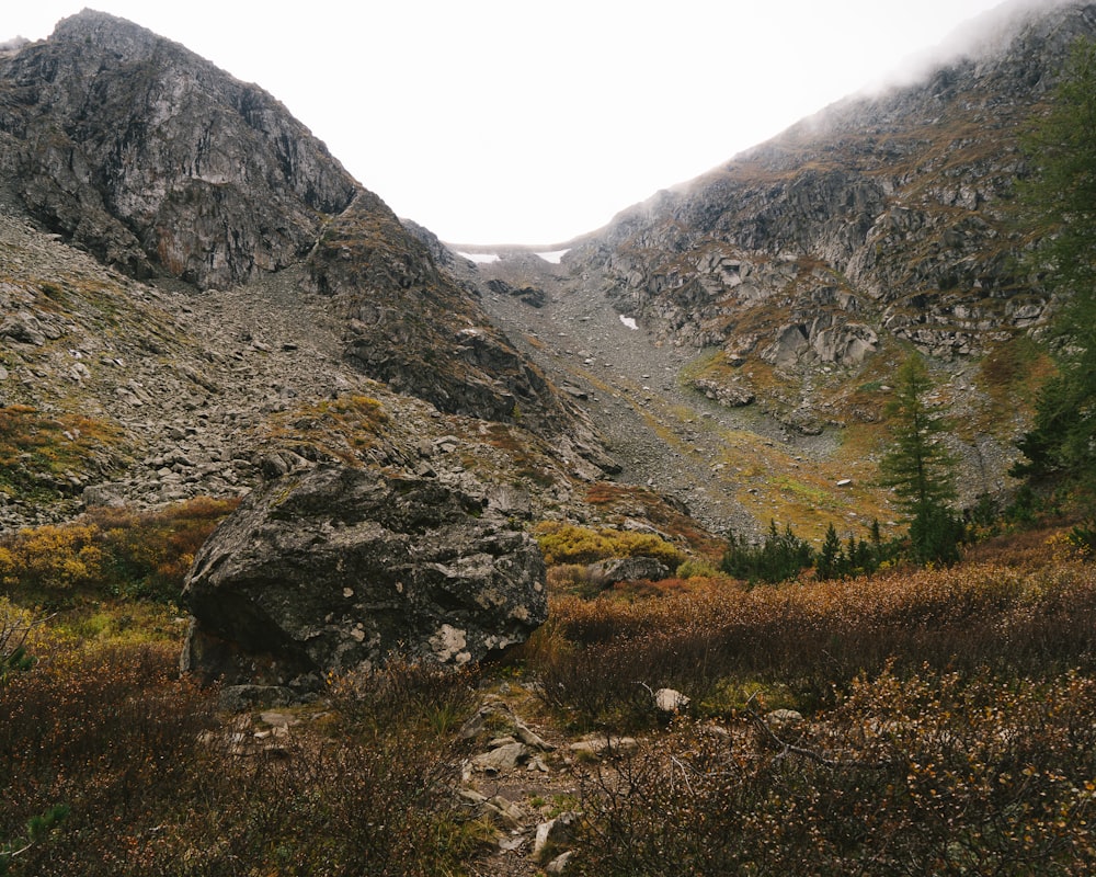 a rocky mountain with a few trees in the foreground