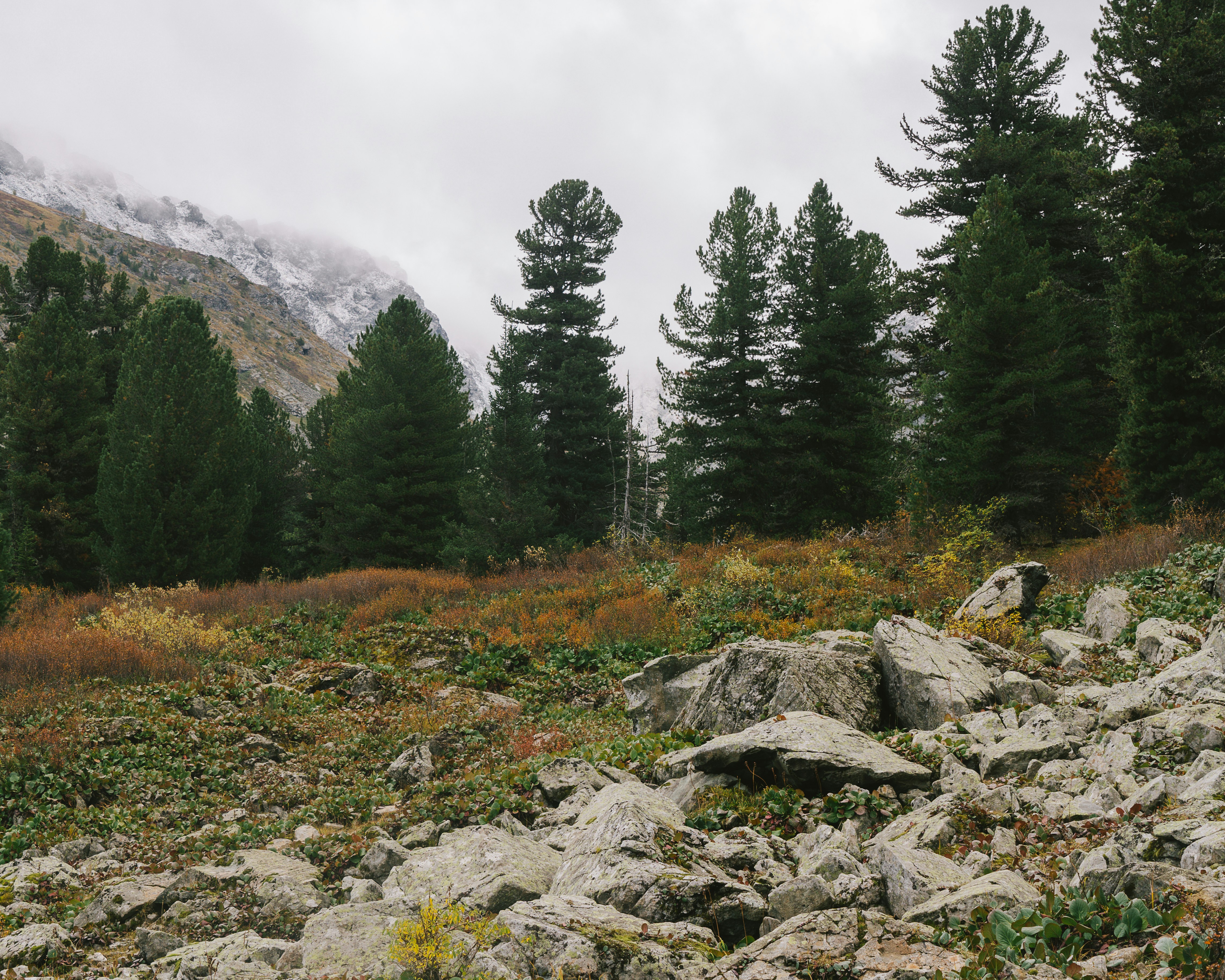 Photo by alexanderklimm