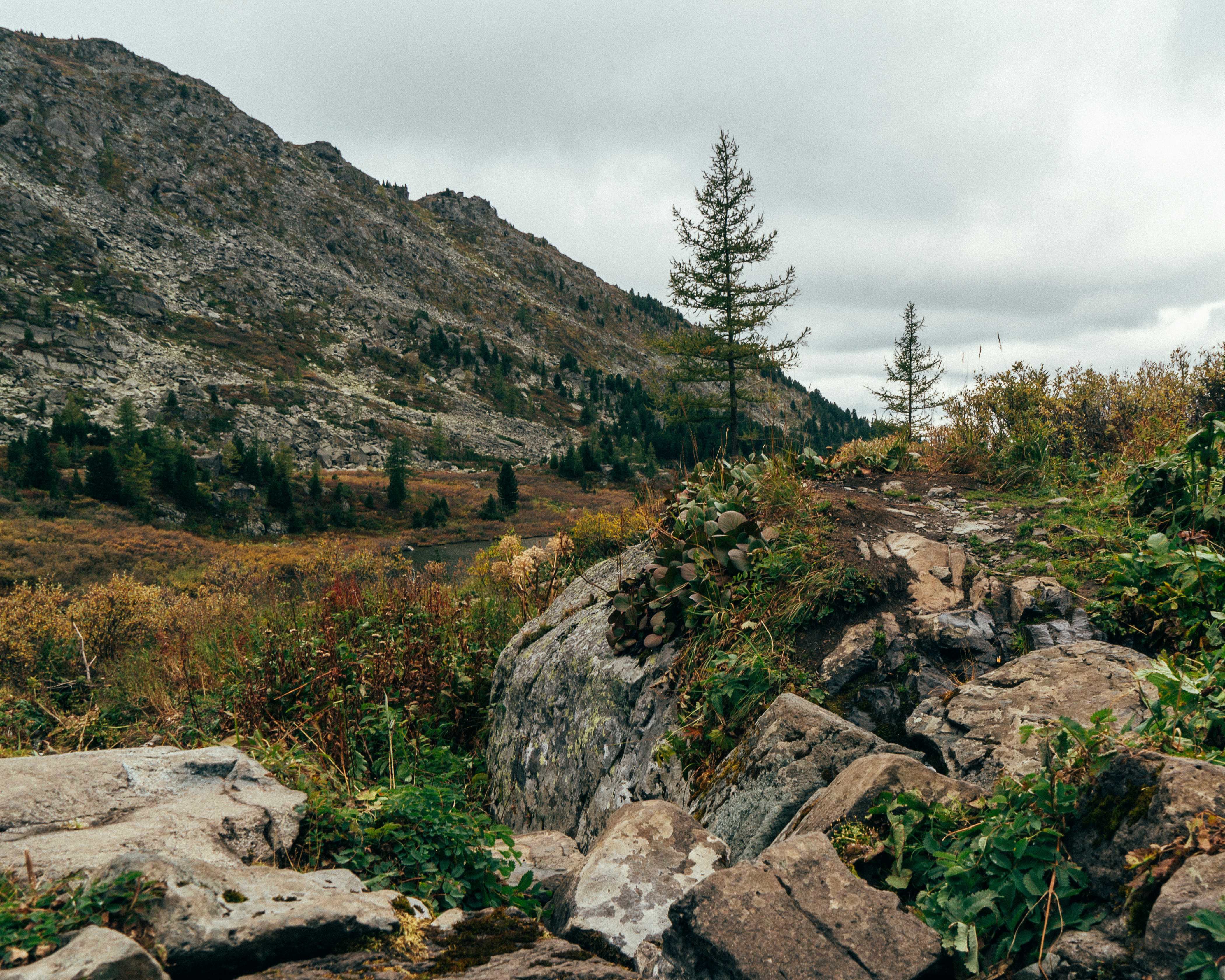 Photo by alexanderklimm